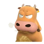 Korean cow Hanoory 