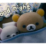 Rilakkuma and Kaoru 