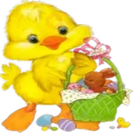 Pascua 