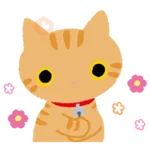 Kutsushita Nyanko: What a Meowthful 