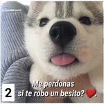 Secuencias de perritos 🐶 2 