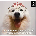 Secuencias de perritos 🐶 2 