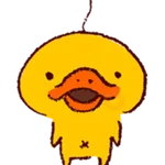 Kamonohashikamo 