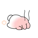 YUMYUM RABBIT 