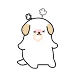 BOBA DOG 
