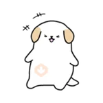 BOBA DOG 