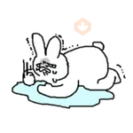 Emotional Rabbit! 4 