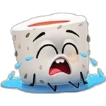 sushi cute 