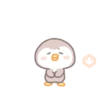 Precious little penguin 
