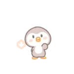 Precious little penguin 