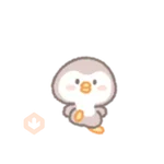 Precious little penguin 