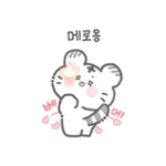My cute white tiger. 
