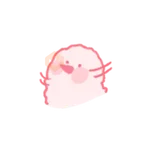 a chewy duck 