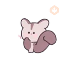 Sugar Glider Mickey Daily Life 