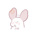 Chinchilla as cute as a puppy 