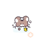 Thank you for loving ddarang 