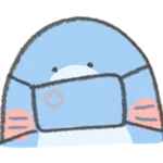 Your shark friend 