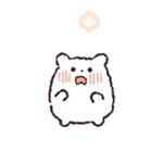 Fluffy hamster Bosongham 
