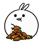 snowball rabbit Tomung! 