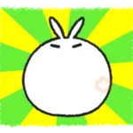 Tomung the snowball rabbit! 