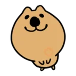 The world is happiest animal, Quka! 