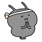 Korean ants win 
