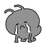 Korean ants win 