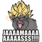 Yo Jamas!