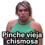 Memes que necesitas