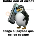 Memes para responder 🤪