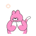 Fav Cat Pingo y sus amigos 🤗