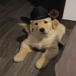 Mami, soy tu vaquero 🤠