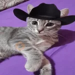 Mami, soy tu vaquero 🤠