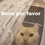 Memes para ligar 4 🔥🥵