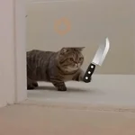 Sabes que te falta? Estos 😸
