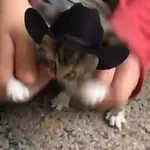 Mami, soy tu vaquero 🤠🎶