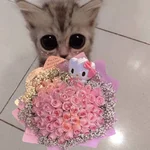 Gatitos con Flores 💐
