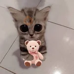 Gatitos con Flores 💐