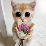 Gatitos con Flores 💐