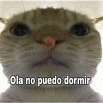 Pack Memes Randoms