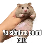 Memes Hamsters