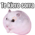 Memes Hamsters