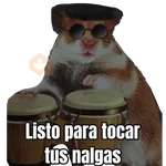 Memes Hamsters