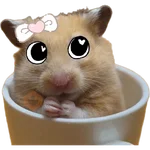 Hamsters ❤️