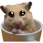 Hamsters ❤️