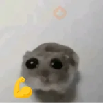 hamster triste tiktok 