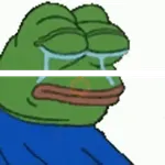 Pepe frog gif (J) 