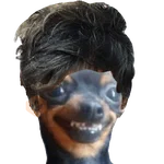 Perrito Milei 