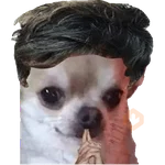 Perrito Milei 