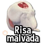 ♨️Memes Variaditos🍒 